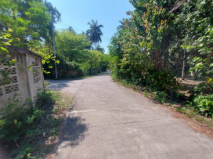 รูป ที่ดินผืนใหญ่ใกล้ทะเล สำหรับคนที่ต้องการความเป็นส่วนตัว บ้านกรูด ประจวบคีรีขันธ์ - รูปที่ 8/17