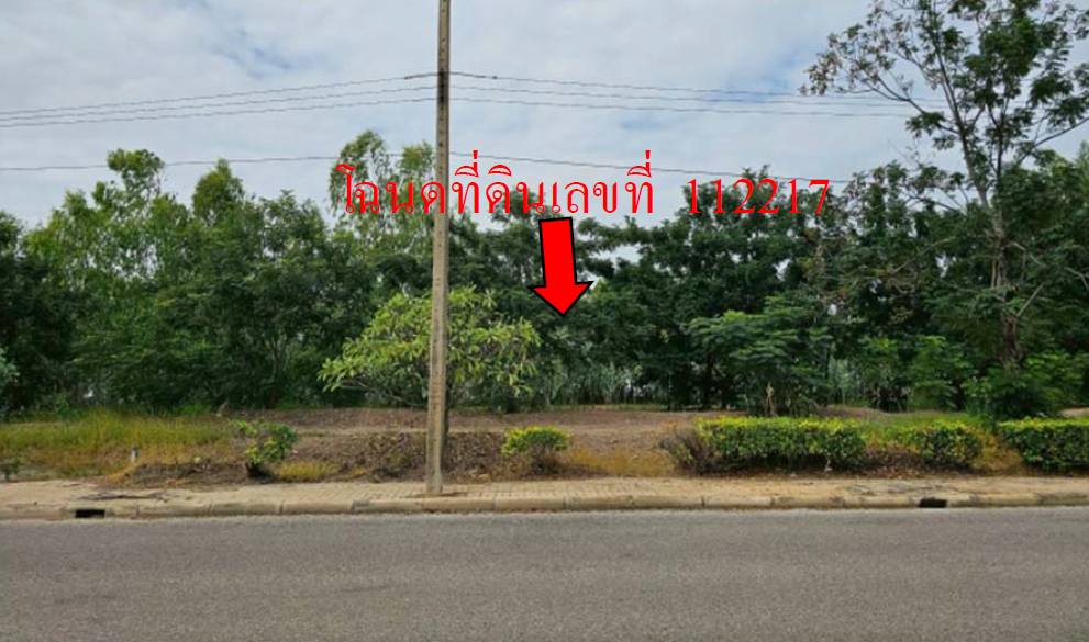 picture LAND 538.7 Sq.w. Muang Nakhon Pathom Nakhon Pathom for 3.7M - 9/11