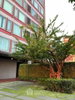 listing thumbnail image 18