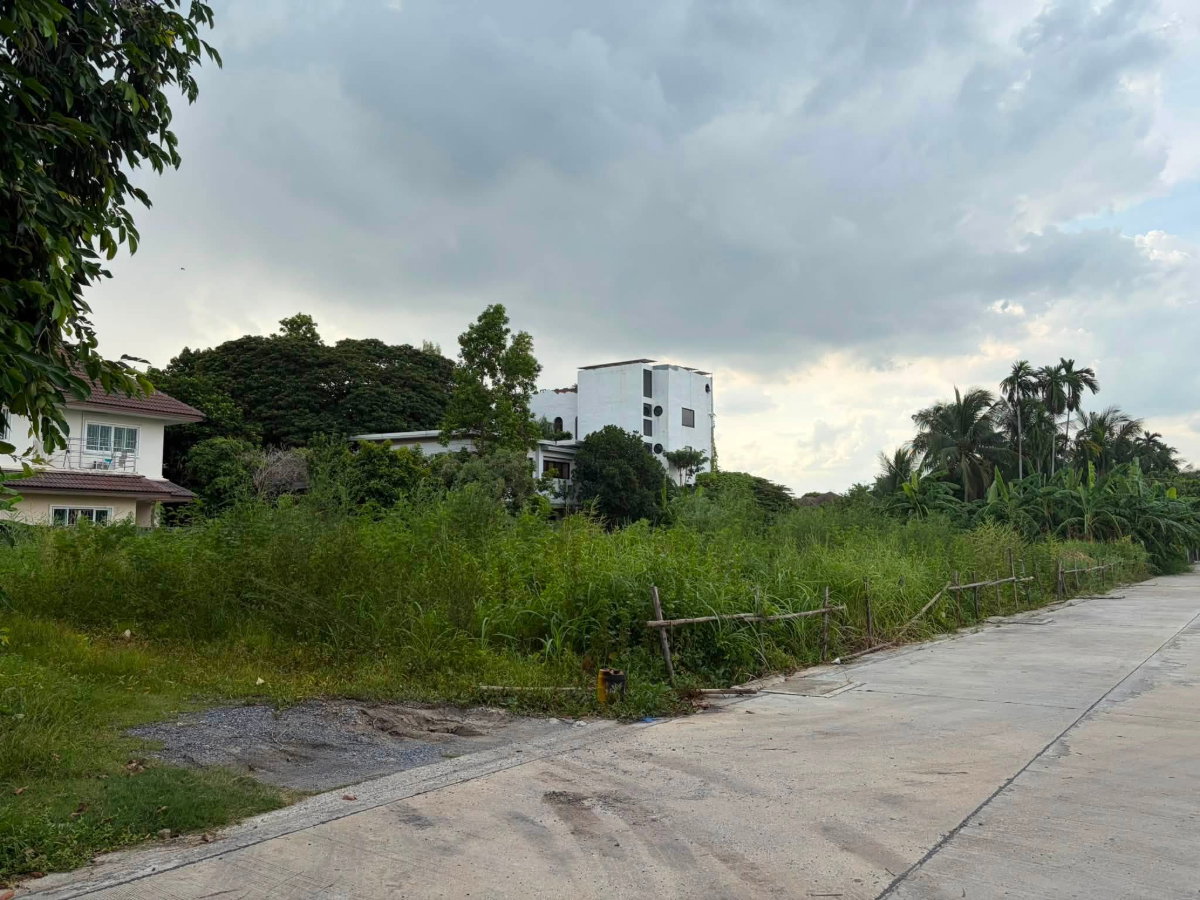 รูป ขายที่ดินสุขุมวิท101 ปุณณวิถี39 382ตร.ว ขาย ตร.ว 95,000 หน้ากว้างติดถนน 53 ม. ใกล้รถไฟฟ้า BTSปุณณวิถี อุดมสุข เข้าออกได้ศรีนครินทร์ บางนา 087-9074045 - รูปที่ 6/6