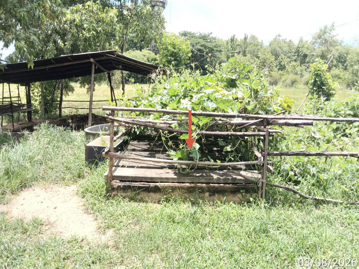 picture FACTORY 842.8 Sq.w. Muang Phrae Phrae for 29.2M - 35/39