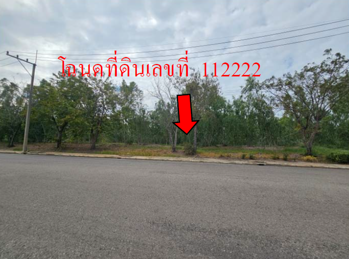 picture LAND 322.1 Sq.w. Muang Nakhon Pathom Nakhon Pathom for 2.2M - 9/12