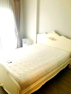 Condos for rent : Condo for Rent at Aspire Rama 9 (B6910012)