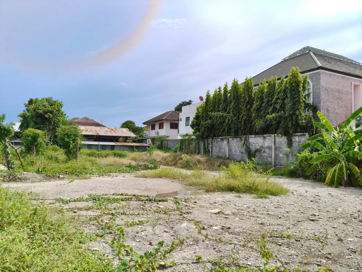 รูป ขายที่ดินสุขุมวิท101 ปุณณวิถี39 382ตร.ว ขาย ตร.ว 95,000 หน้ากว้างติดถนน 53 ม. ใกล้รถไฟฟ้า BTSปุณณวิถี อุดมสุข เข้าออกได้ศรีนครินทร์ บางนา 087-9074045 - รูปที่ 2/6