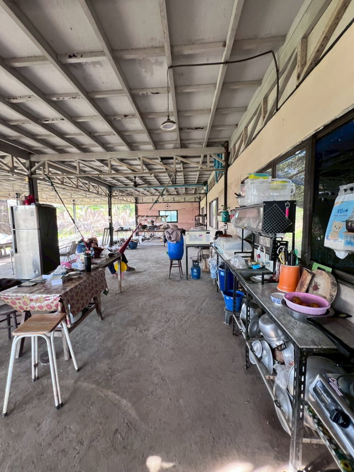 รูป 95546 - ขายบ้านสวน 2 ชั้น พร้อมที่ดิน 4 ไร่ 3 งาน 5 ตรว. อ.พรหมบุรี จ.สิงห์บุรี ติดถนนทางหลวงหมายเลข 309 - รูปที่ 4/12
