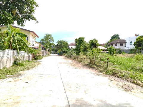 ขายที่ดินสุขุมวิท101 ปุณณวิถี39 382ตร.ว ขาย ตร.ว 95,000 หน้ากว้างติดถนน 53 ม. ใกล้รถไฟฟ้า BTSปุณณวิถี อุดมสุข เข้าออกได้ศรีนครินทร์ บางนา 087-9074045