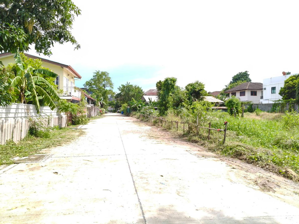 รูป ขายที่ดินสุขุมวิท101 ปุณณวิถี39 382ตร.ว ขาย ตร.ว 95,000 หน้ากว้างติดถนน 53 ม. ใกล้รถไฟฟ้า BTSปุณณวิถี อุดมสุข เข้าออกได้ศรีนครินทร์ บางนา 087-9074045 - รูปที่ 1/6
