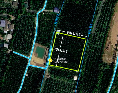 Land for sale Sam Phran Nakhon Pathom : Cheap Pomelo Orchard Plot | Canal & Road Access | Bang Toei (No Flooding)