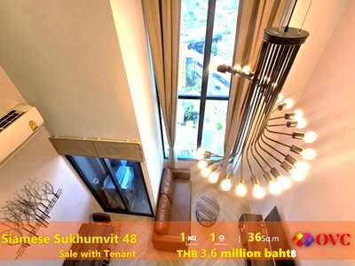 Condos for sale : Ready for sale with an existing tenant! @Siamese Sukhumvit 48