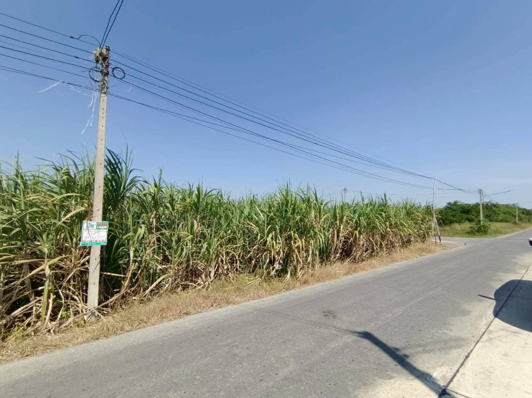 รูป 95531 - ขาย ที่ดินแปลงใหญ่ ติดถนนลาดยาง ต.วังขนาย อ.ท่าม่วง จ.กาญจนบุรี - รูปที่ 7/9