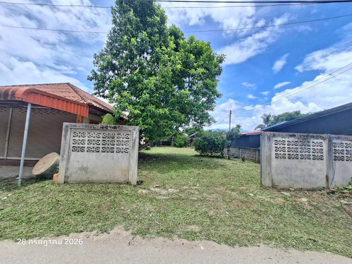 รูป บ้านเดี่ยว 197 ตร.วา แม่อาย เชียงใหม่ 2.4M - รูปที่ 33/39