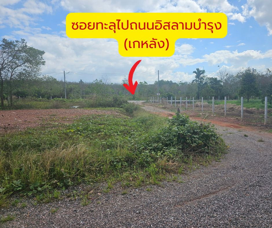 รูป ขายที่ดินเปล่า ห้องละ 390,000 บาท โอนฟรี จำหน่วย 5 ห้อง พื้นที่ทั้งหมด 112.5 ตร.ว. (22.5×20ม.) - รูปที่ 11/11