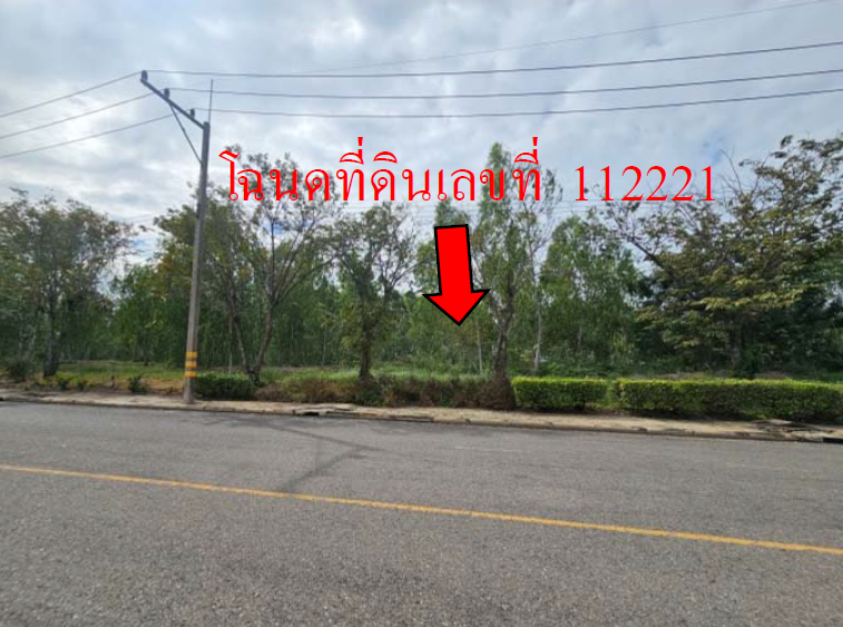 picture LAND 345.3 Sq.w. Muang Nakhon Pathom Nakhon Pathom for 2.4M - 2/12