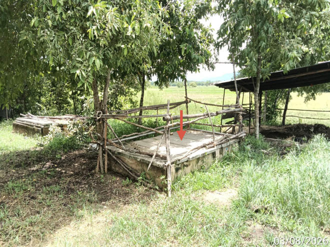 picture FACTORY 842.8 Sq.w. Muang Phrae Phrae for 29.2M - 17/39