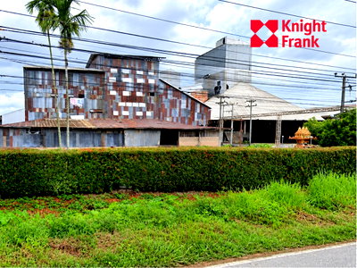โรงงาน แม่จัน เชียงราย : ขายที่ดินพร้อมโรงงาน 61 ไร่ ติดถนนพหลโยธิน อำเภอแม่จัน จังหวัดเชียงราย