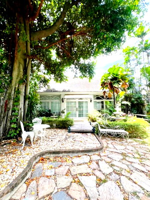 Houses for rent วิทยาลัยเซาธ์อีสท์บางกอก : 			BTS Punnawithi220m.  Punnawithi 7-13 in the heart of Sukhumvit 101 this detached house and glasshous          