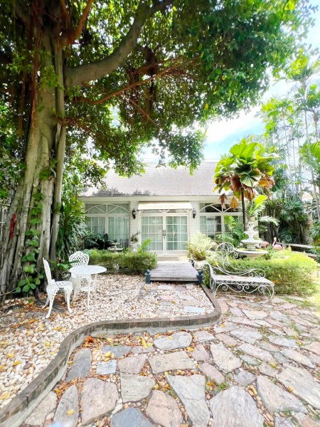รูป 261003gknplas ให้เช่า บ้าน BTSปุณณวิถี220ม. ปุณณวิถี 5-13 ใจกลางสุขุมวิท 101 บ้านเดี่ยวและ Glasshouse 5นอน 2น้ำ  133 ตร.วา.532 ตร.ม. - รูปที่ 1/8