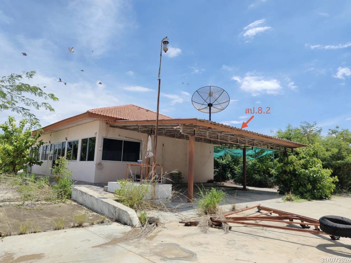 picture FACTORY 11442.2 Sq.w. Doembang Nangbuat Suphanburi for 81.3M - 31/37