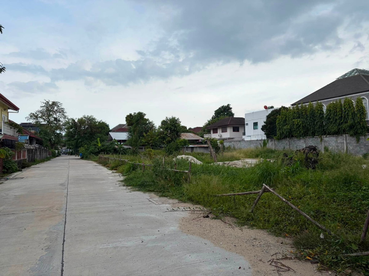 รูป ขายที่ดินสุขุมวิท101 ปุณณวิถี39 382ตร.ว ขาย ตร.ว 95,000 หน้ากว้างติดถนน 53 ม. ใกล้รถไฟฟ้า BTSปุณณวิถี อุดมสุข เข้าออกได้ศรีนครินทร์ บางนา 087-9074045 - รูปที่ 3/6