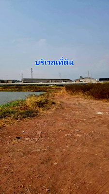 ที่ดิน เขตบางขุนเทียน : 95704 - ขาย ที่ดินจัดสรร 79 ตรว.ใกล้วัดหัวกระบือ, ท่าข้าม, พระราม2,กรุงเทพฯ ใกล้ทางด่วนพระราม
