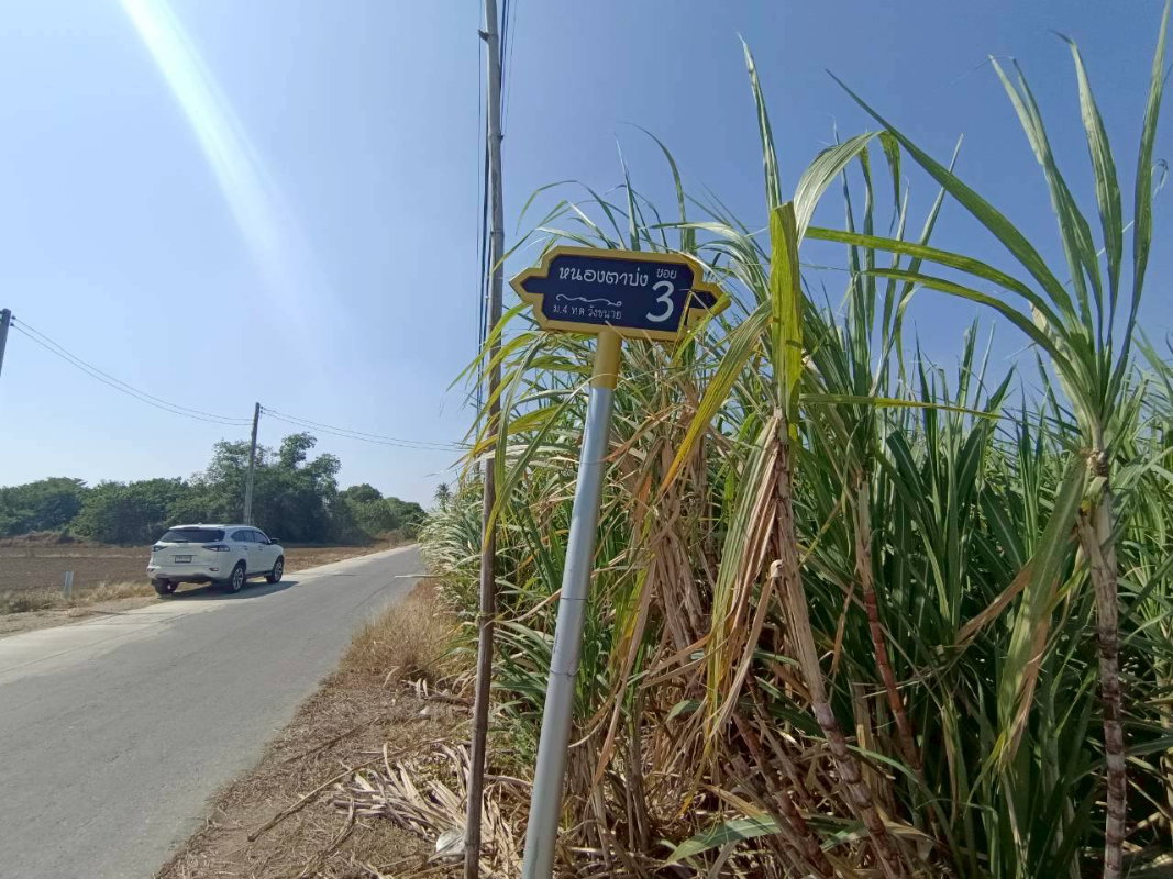 รูป 95531 - ขาย ที่ดินแปลงใหญ่ ติดถนนลาดยาง ต.วังขนาย อ.ท่าม่วง จ.กาญจนบุรี - รูปที่ 9/9