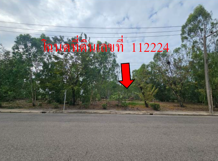 picture LAND 374.6 Sq.w. Muang Nakhon Pathom Nakhon Pathom for 2.6M - 10/12