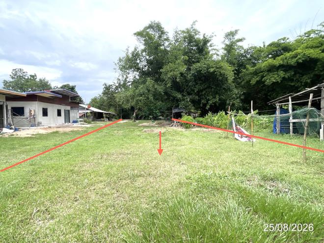 picture LAND 288 Sq.w. Muang Maha Sarakham Maha Sarakham for 288,000 - 5/15