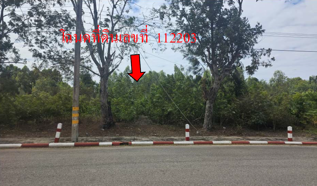 picture LAND 818.2 Sq.w. Muang Nakhon Pathom Nakhon Pathom for 5.7M - 9/11
