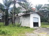 listing thumbnail image 9