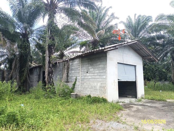 picture LAND 2259.1 Sq.w. Chalermphrakiet Nakhon Sri Thammarat for 6.7M - 10/45