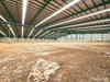 listing thumbnail image 23
