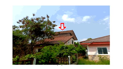 บ้านเดี่ยว ภูเก็ต : ที่ดินพร้อมสิ่งปลูกสร้าง 134 ตร.วา เปี่ยมสุข เมืองพิษณุโลก พิษณุโลก 1.2M