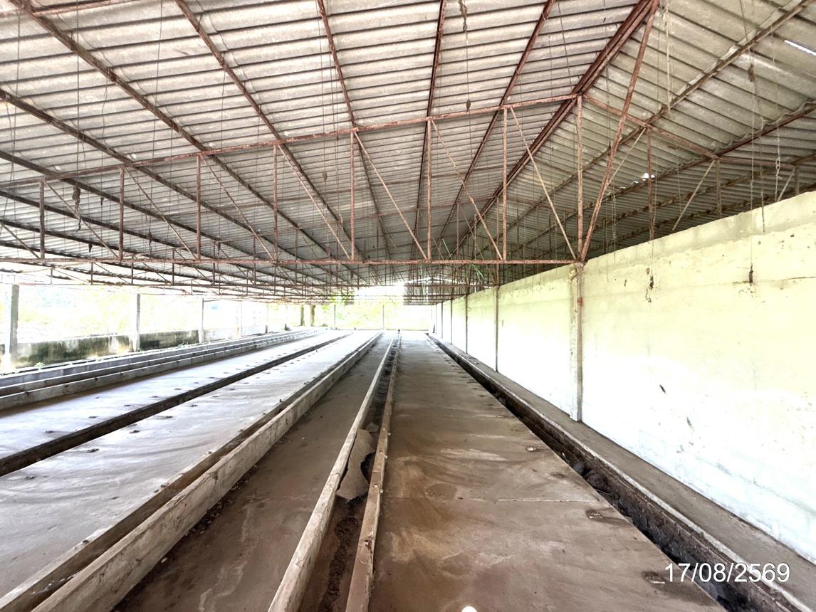 รูป โกดัง 3289 ตร.วา เดชอุดม อุบลราชธานี 5.3M - รูปที่ 31/45