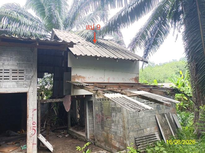 picture LAND 2259.1 Sq.w. Chalermphrakiet Nakhon Sri Thammarat for 6.7M - 20/45