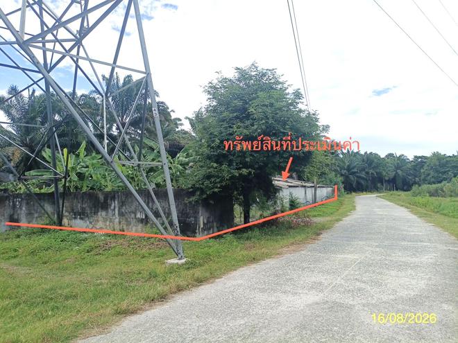 picture LAND 2259.1 Sq.w. Chalermphrakiet Nakhon Sri Thammarat for 6.7M - 2/45