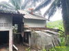 listing thumbnail image 39