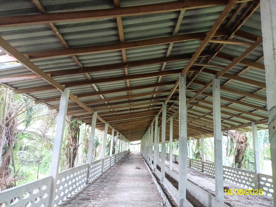 picture LAND 2259.1 Sq.w. Chalermphrakiet Nakhon Sri Thammarat for 6.7M - 34/45