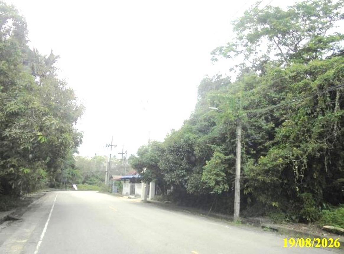รูป ที่ดินว่างเปล่า 117 ตร.วา สุไหงปาดี นราธิวาส 1.9M - รูปที่ 11/15