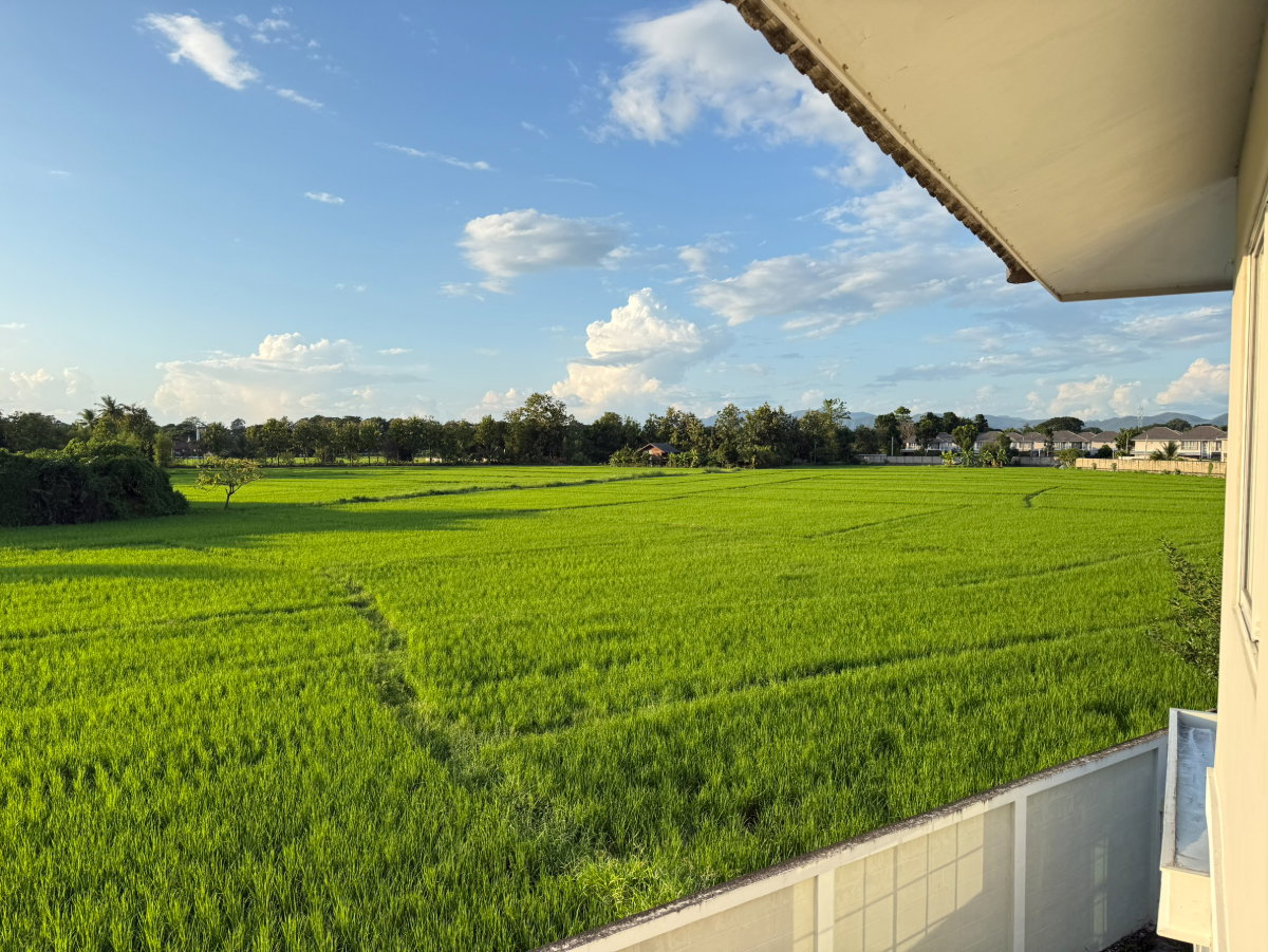 รูป ขายบ้านเดี่ยว กาญจน์กนกวิลล์ 17 เชียงใหม่ - รูปที่ 16/16
