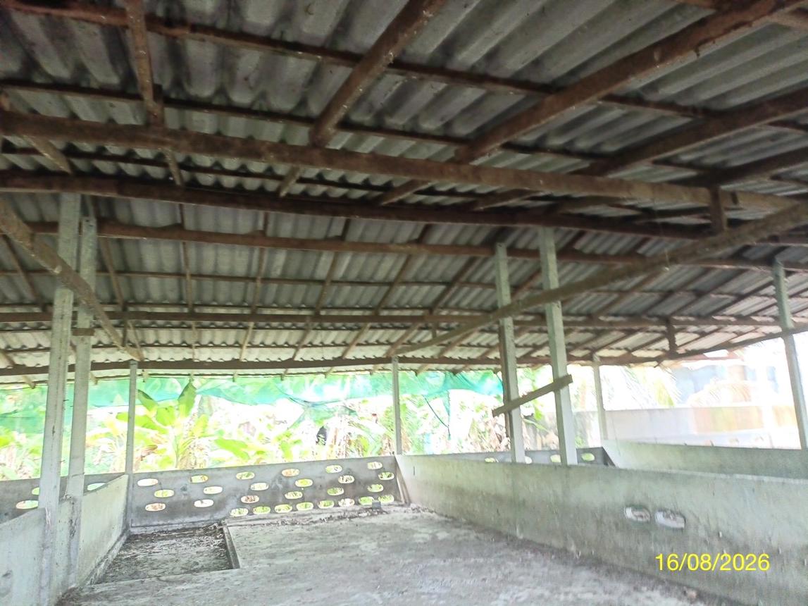 picture LAND 2259.1 Sq.w. Chalermphrakiet Nakhon Sri Thammarat for 6.7M - 26/45
