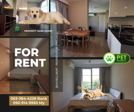 Maestro 39 | Pet-Friendly Condo, hard to find in the heart of Sukhumvit! Big room, comfortable for both you and your younger sibling 🐶🐱