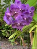 listing thumbnail image 27
