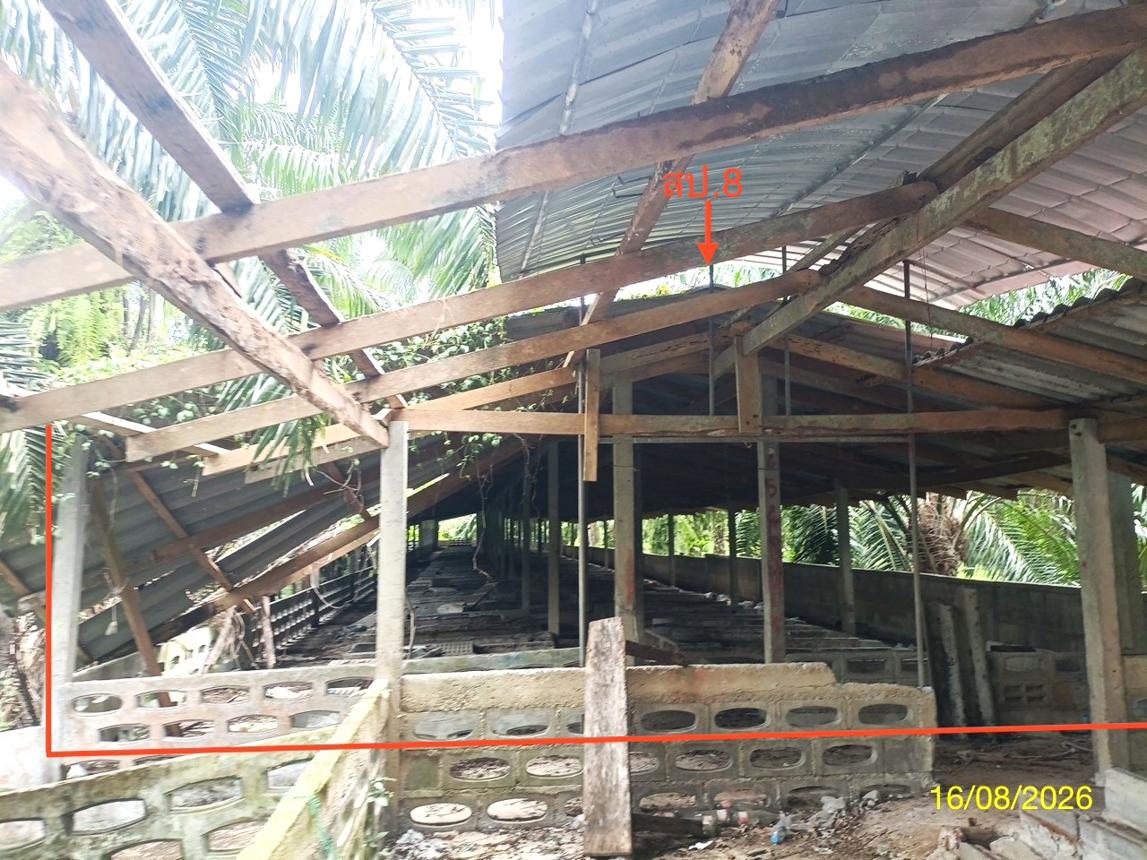 picture LAND 2259.1 Sq.w. Chalermphrakiet Nakhon Sri Thammarat for 6.7M - 32/45