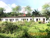 listing thumbnail image 25