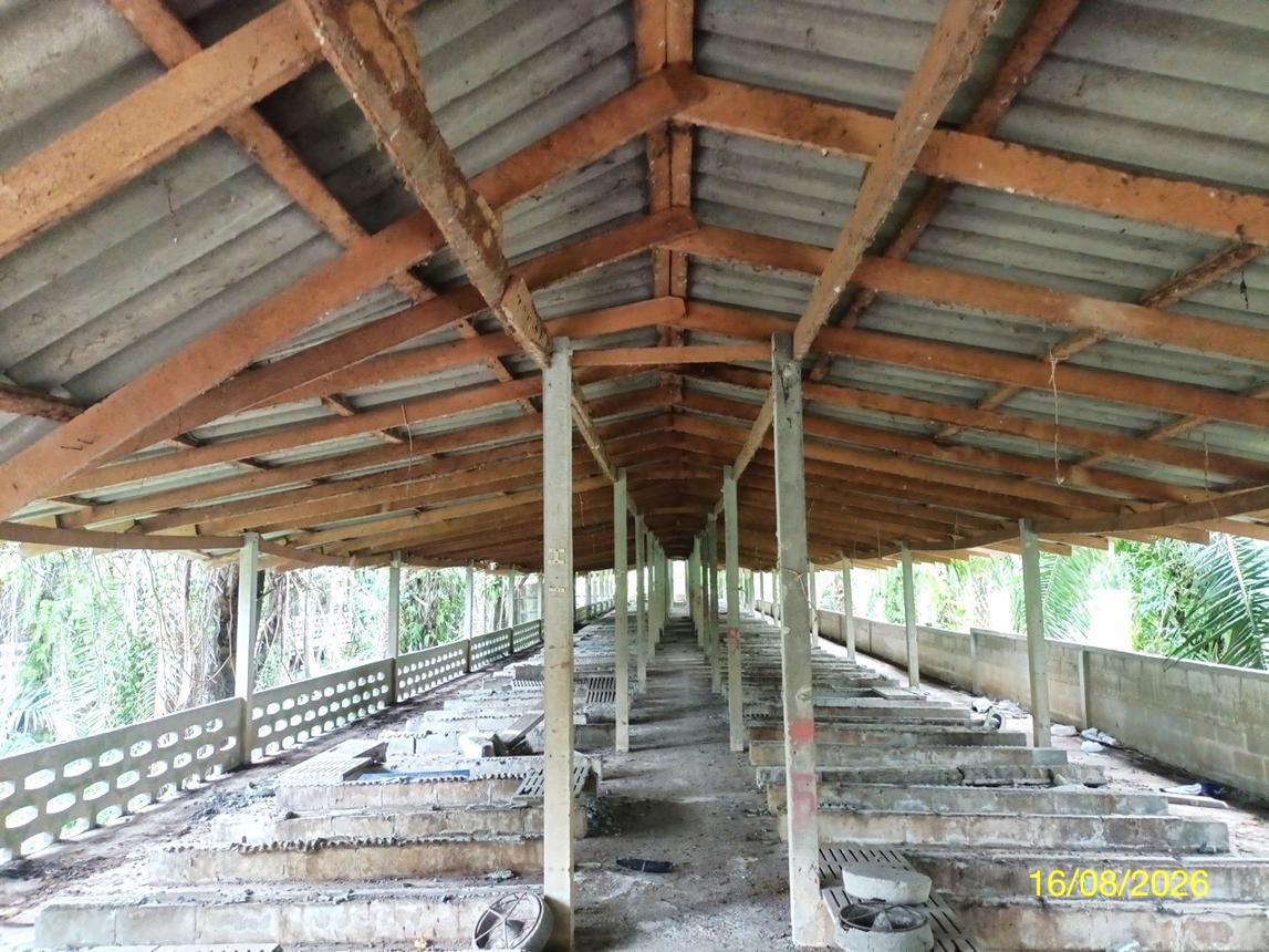 picture LAND 2259.1 Sq.w. Chalermphrakiet Nakhon Sri Thammarat for 6.7M - 35/45