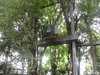 listing thumbnail image 13