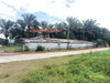 listing thumbnail image 21