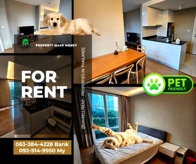 คอนโดให้เช่า : Maestro 39 | คอนโด Pet-Friendly หายากใจกลางสุขุมวิท! ห้องใหญ่ อยู่สบายทั้งคนและน้อง 🐶🐱