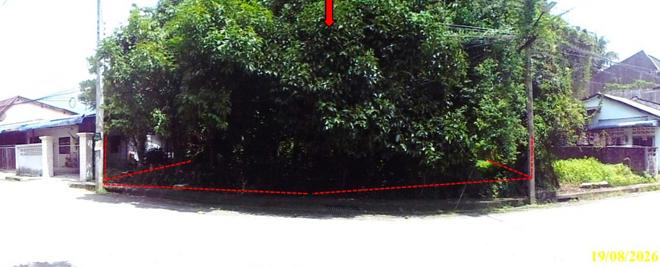รูป ที่ดินว่างเปล่า 117 ตร.วา สุไหงปาดี นราธิวาส 1.9M - รูปที่ 1/15