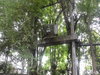 listing thumbnail image 33